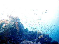 Lembongan Lembongan