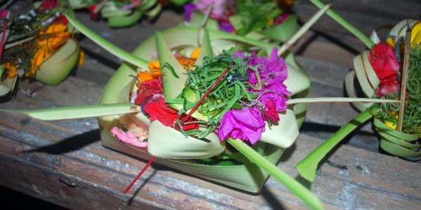 Canang Sari Bali Offerings